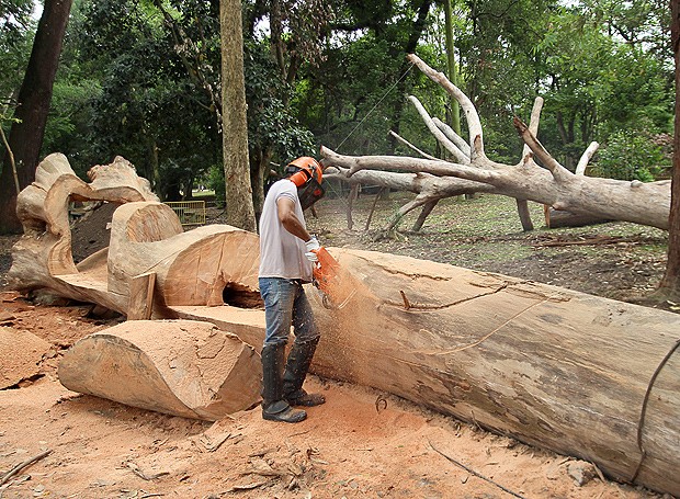 O processo de criação do banco, feito a partir de um tronco de árvore (Foto: Divulgação)