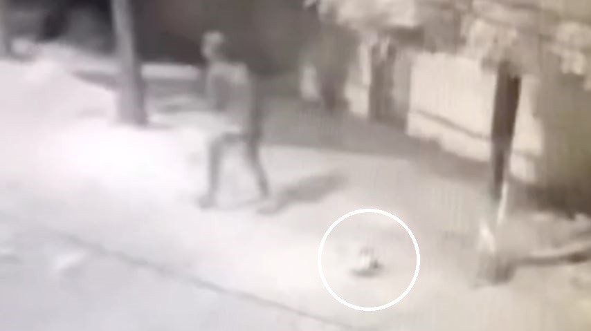 Homem é preso por suspeita de matar dois cães a pauladas e agredir mulher no interior do Ceará