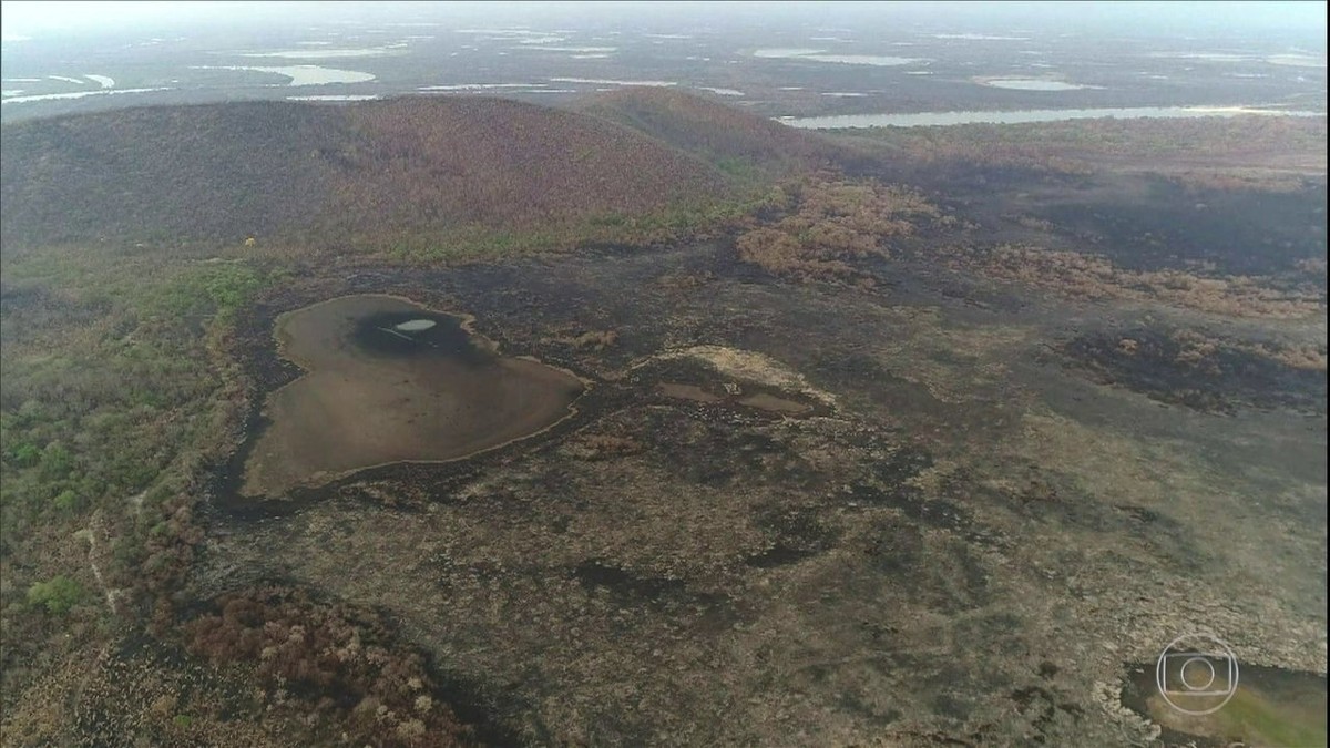 Pesquisadores já avaliam formas de recuperar o Pantanal de MS após queimadas thumbnail