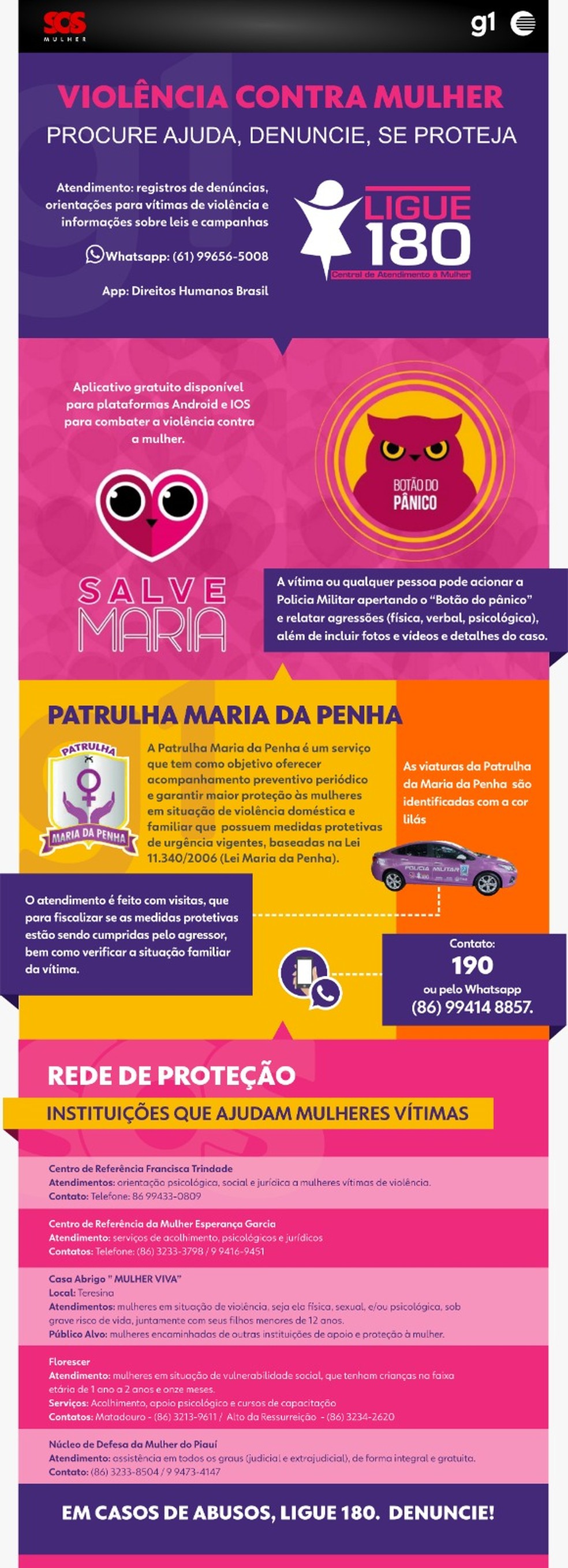 Rede de Proteção à Mulher no Piauí — Foto: Arte Adelmo Paixão/g1 PI