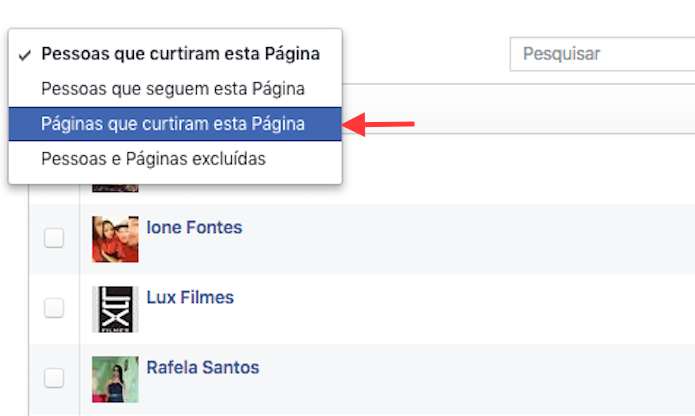Opção para visualizar páginas que curtiram sua página no Facebook (Foto: Reprodução/Marvin Costa)