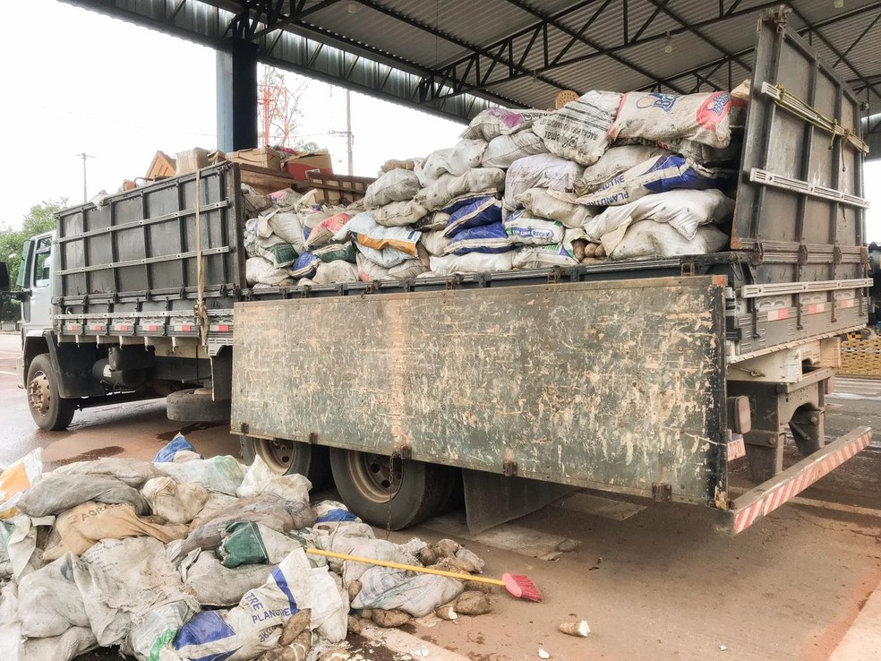 Droga estava 'camuflada' em meio a carga de inhame  — Foto: Walter Quevedo/TVCA