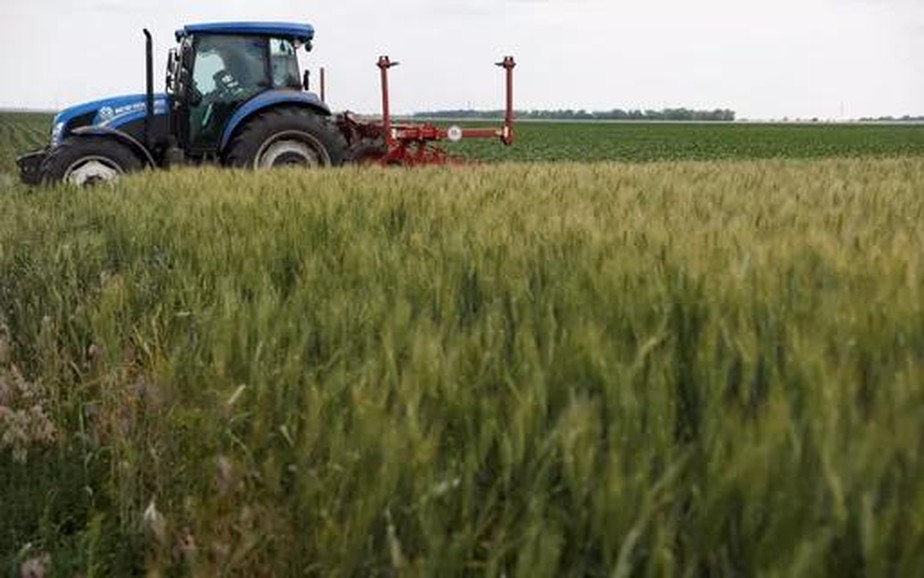Tensão entre Rússia e Ucrânia aumenta e preocupa mercado de trigo