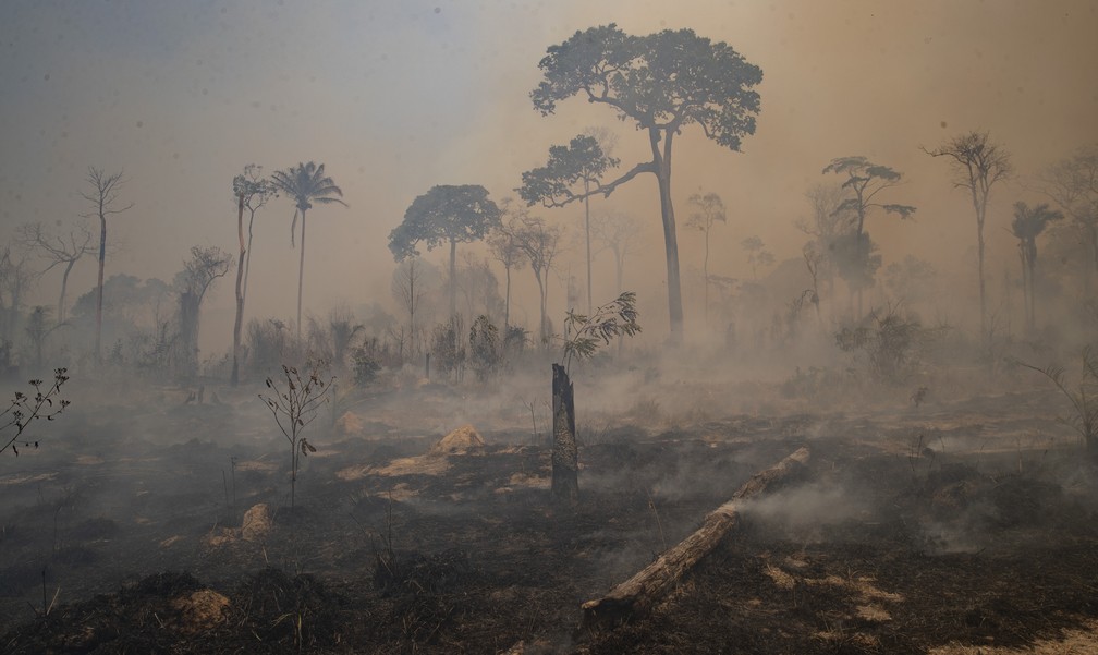 Fogo consome terras desmatadas por pecuaristas perto de Novo Progresso, no Pará, em 2020. — Foto: Andre Penner/AP