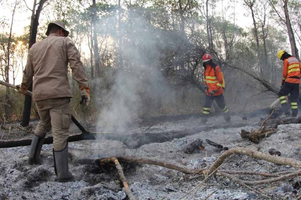 Bombeiros e brigadistas combatem fogo no Pantanal de MS — Foto: Chico Ribeiro / Governo de Mato Grosso do Sul