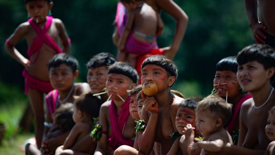 Como ajudar a população Yanomami