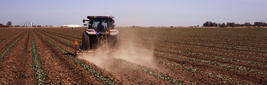 Texto do 'PL do Veneno', que trata do uso dos agrotóxicos, segue para aprovação no Senado Federal