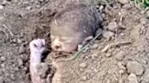 Bebê foi enterrado vivo em uma fazenda na Índia (Foto: Reprodução)