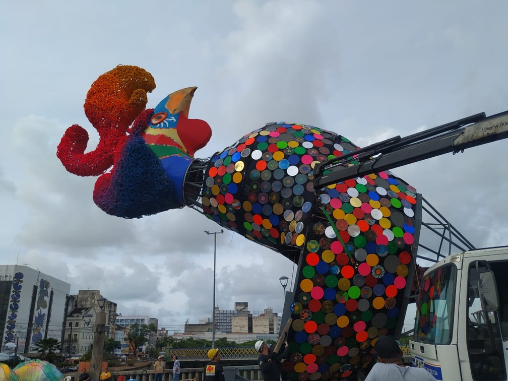 Montagem Do Galo Gigante No Recife Fotos Carnaval 2020 Em Pernambuco G1