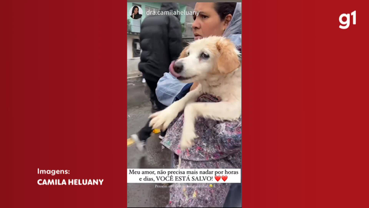 V&Iacute;DEO: