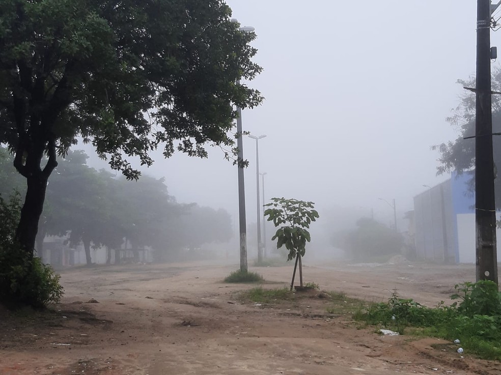 Neblina no Conjunto Eustáqui Gomes, parte alta de Maceió — Foto: Ana Clara Pontes/g1