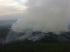 Brasil registra número recorde de queimadas no início do ano, diz Inpe