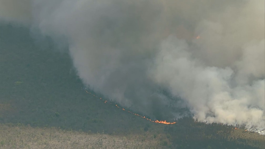 Incêndio no Parque Nacional de Brasília, nesta segunda-feira (5) — Foto: TV Globo/Reprodução