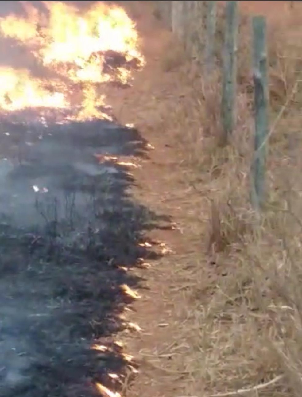 Incêndio atinge propriedades rurais em Poxoréu (MT) — Foto: Corpo de Bombeiros/Reprodução