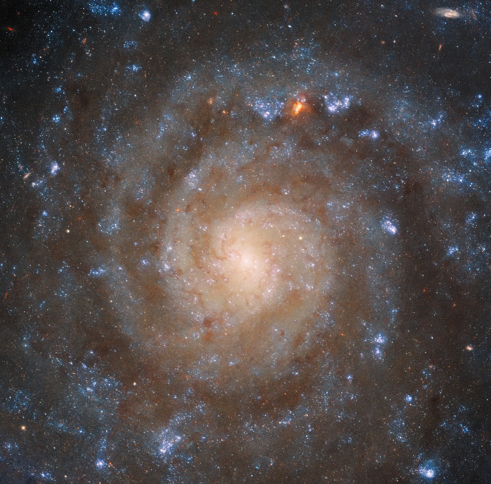 Imagem do Hubble da mesma galáxia observada pelo James Webb, a IC 5332. — Foto: ESA/Webb, NASA & CSA, J. Lee and the PHANGS-JWST and PHANGS-HST Teams