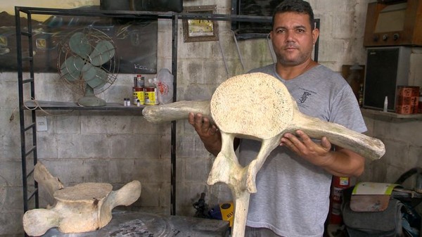 Vertebras De Baleia Sao Encontradas Em Area De Valao Em Vila Velha Es Espirito Santo G1