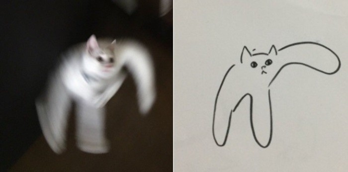 Poorly drawn cat (Foto: @poorlydrawncat / Twitter)