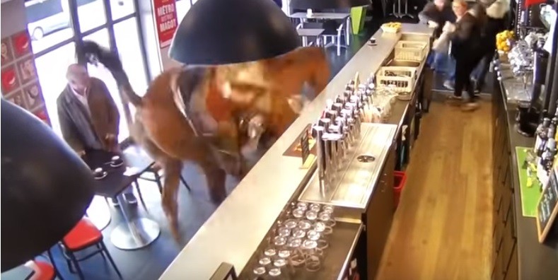 Momento em que cavalo invade bar na França (Foto: Reprodução/YouTube)
