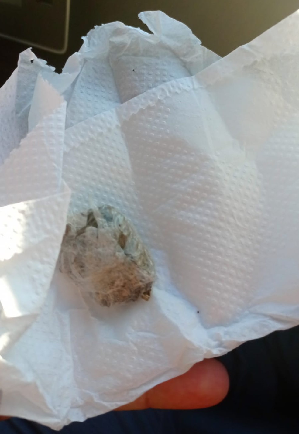 Polícia disse que foi encontrada uma porção de maconha no bolso do adolescente — Foto: Polícia Militar