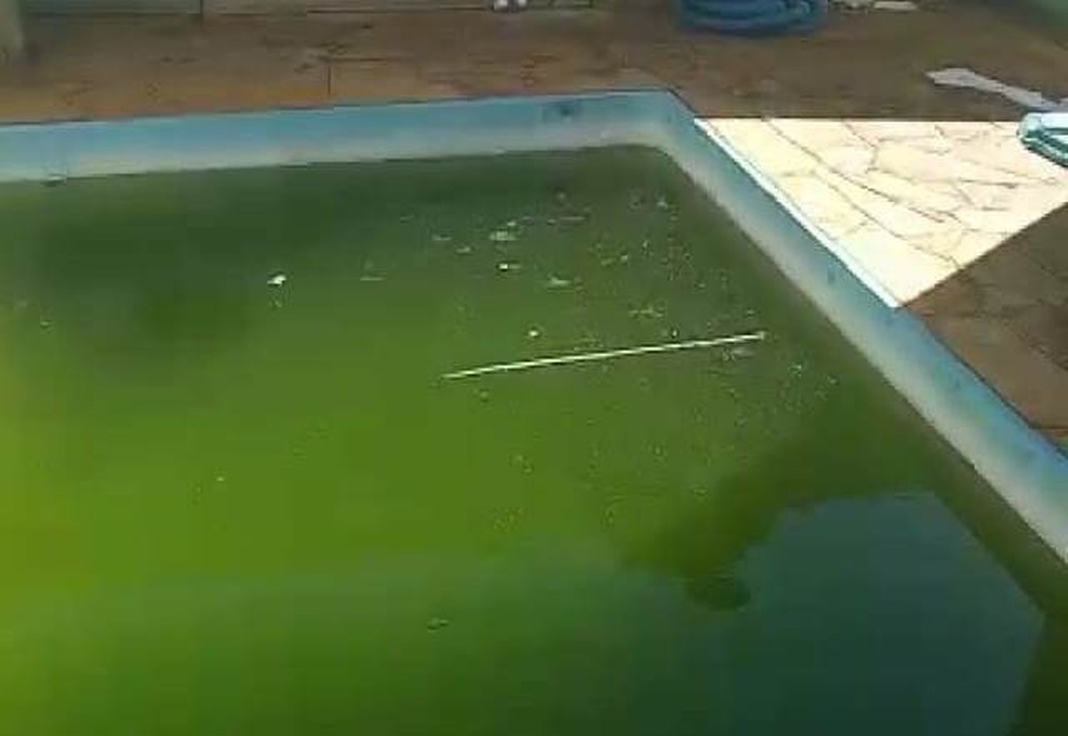 Apos Surto De Homem Pm Apreende Vaso Com Maconha E Acha Piscina Com Larvas Do Aedes Sao Carlos E Araraquara G1