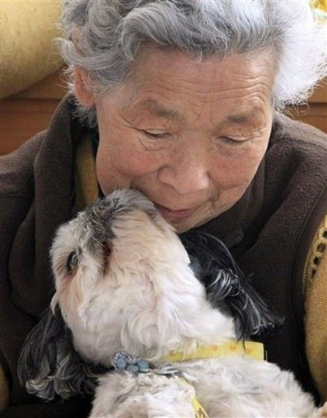Tami Akanuma, de 83 anos, e seu shih-tzu Babu (Foto: Pinterest / Reprodução)
