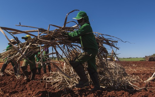 Trabalhadora de usina ganha insalubridade por exposição ao sol - Revista  Globo Rural | Cana