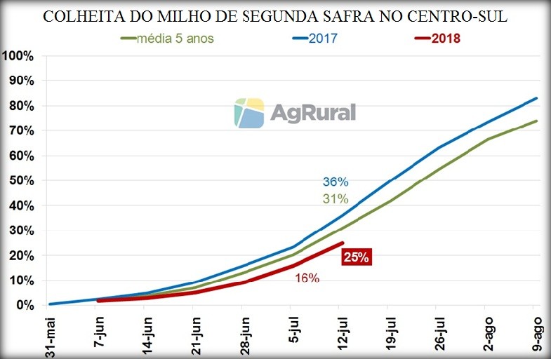 Colheita do milho chega a 25% no Centro-Sul, segundo a AgRural (Foto: Divulgação/AgRural)