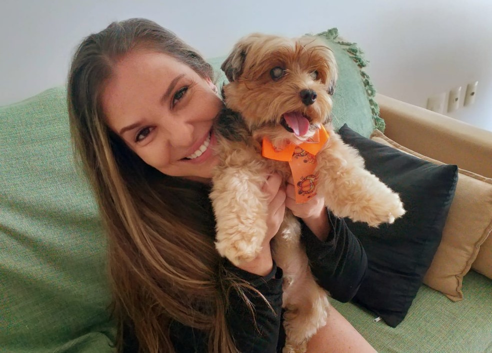 Advogada viu reportagem sobre resgate de cachorro e se apaixonou por ele, indo atrás para adotá-lo — Foto: Arquivo Pessoal