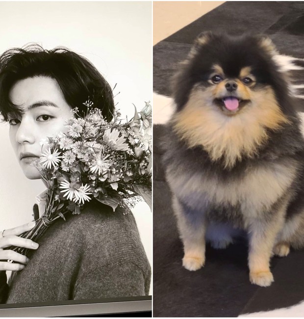 Kim Yeontan, do BTS, e seu cachorro (Foto: Reprodução / Instagram)