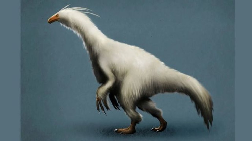 O peso do nanuquessauro era equivalente a cerca de dois ursos polares machos grandes. — Foto: ALAMY