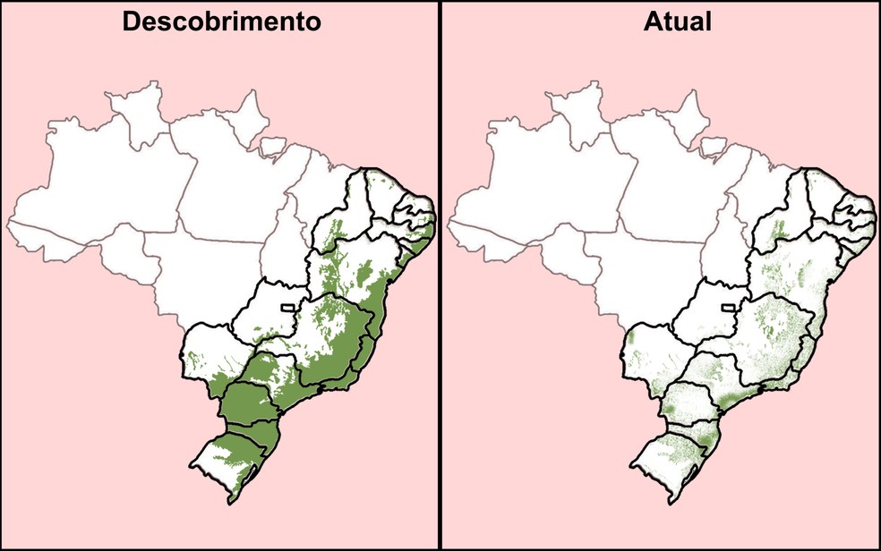 Cite Quatro Estados Em Que Ocorreu Devastação Da Mata Atlantica