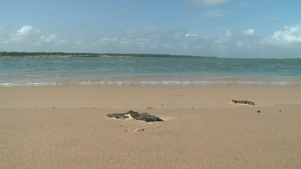 Manchas de óleo atingem mais praias do Delta do Parnaíba — Foto: Reprodução/TV Clube