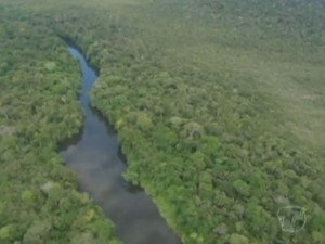 Gleba Mamuro-Arapiuns abrange Santarém, Juruti e Aveiro, no oeste do Pará (Foto: Reprodução/TV Tapajós)