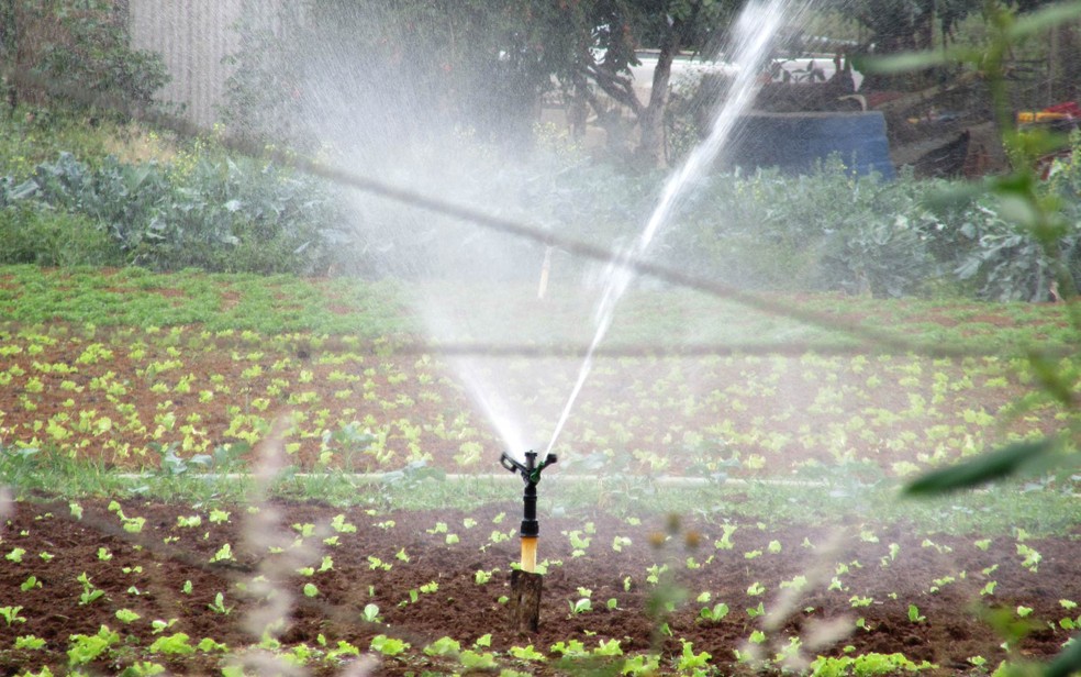 Irrigação de plantações em área do Incra 9, a cerca de 500 metros da margem do reservatório do Descoberto nesta quarta-feira (9) (Foto: Alexandre Bastos/G1)