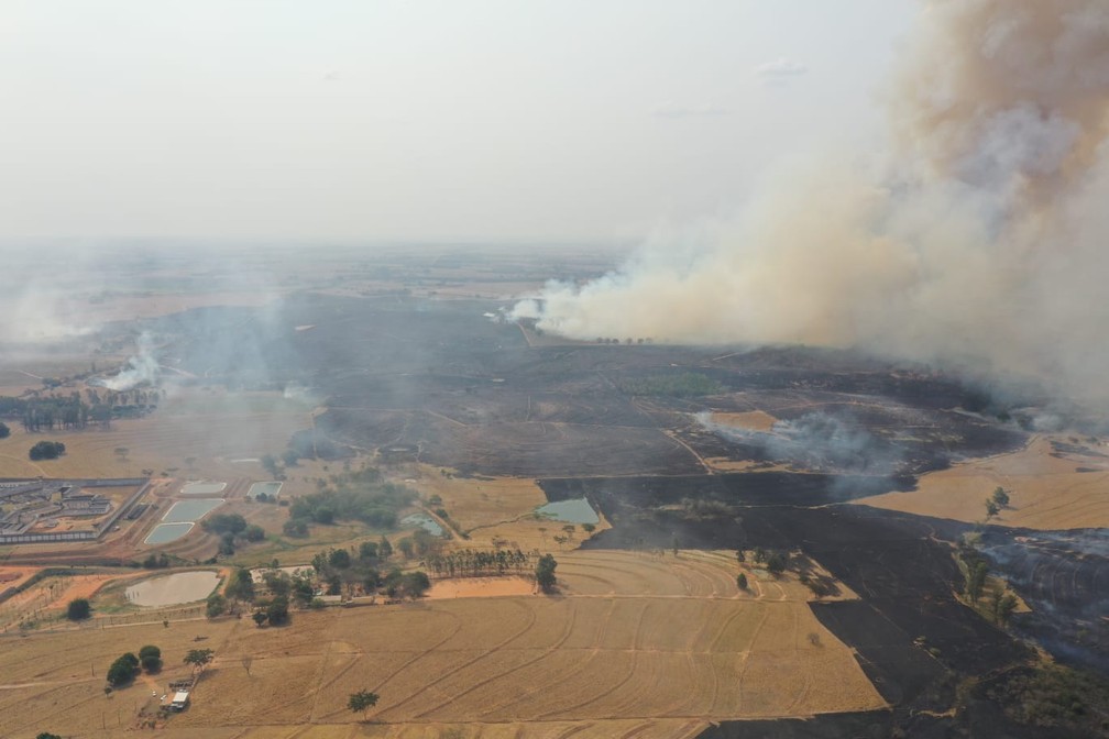 Incêndio em vegetação atingiu 400 mil metros quadrados e formou nuvem gigante de fumaça em Junqueirópolis — Foto: Márcio Cabanhas