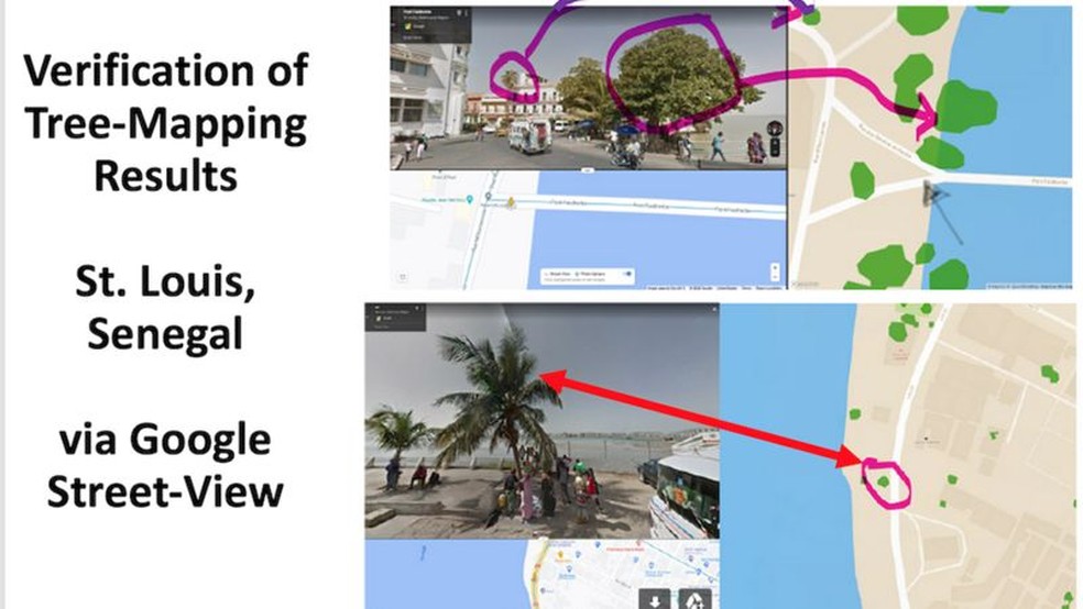 Os pesquisadores também usaram o Google Maps para verificar a presença de árvores em áreas povoadas da área estudada — Foto: Compton Tucker/BBC
