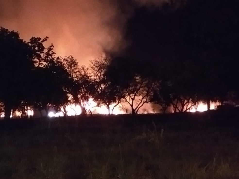 Fogo é na região do Parque Cesamar em Palmas — Foto: Rainel Campos/Divulgação