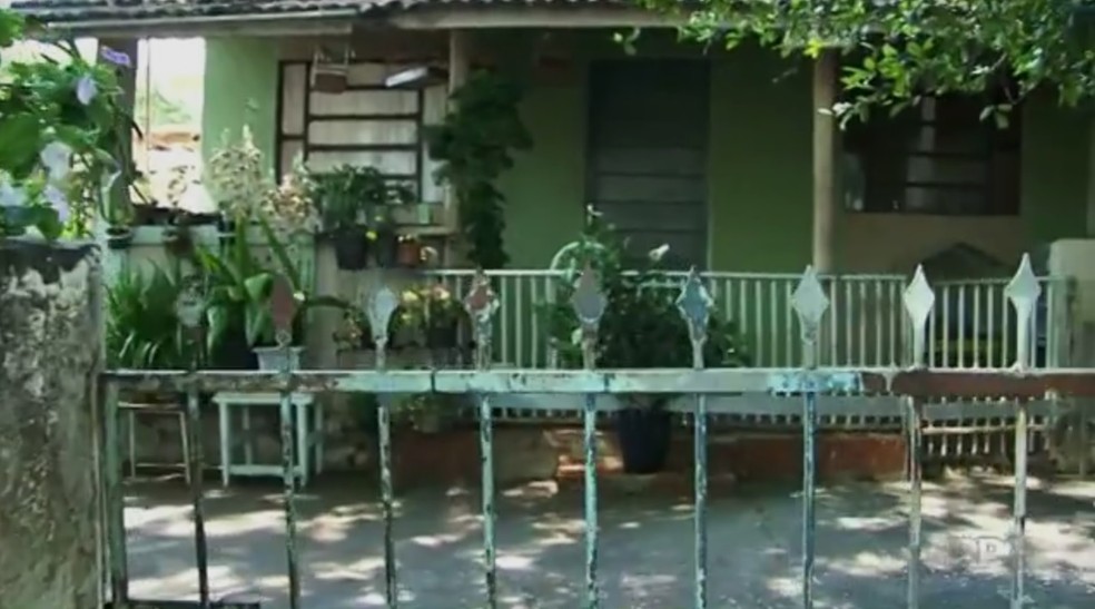 Pai e filho estavam na varanda de casa quando foram atacados pelo enxame, segundo os bombeiros (Foto: Reprodução/RPC)