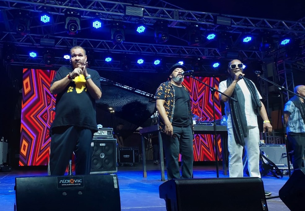 O intérprete de Libras Virgílio Soares, durante apresentação no Setor Carnavalesco Sul  — Foto: Reprodução/Setor Carnavalesco Sul