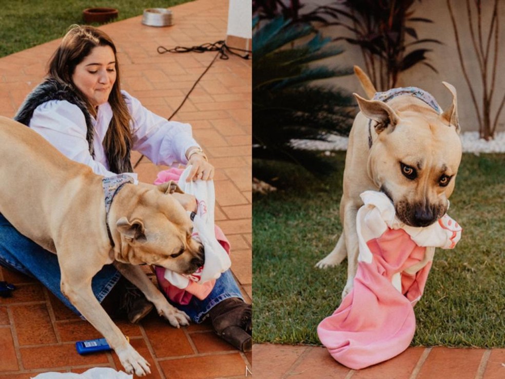 Thor deu um ‘baile’ nos convidados  — Foto: Reprodução/ Nicolas Carrelo