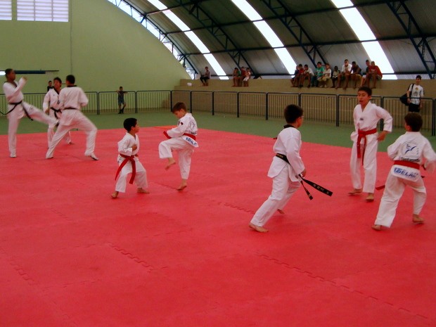 Ginásio concentra aulas gratuitas de lutas e artes marciais em Piracicaba (Foto: Divulgação/Selam) Ginásio concentra aulas gratuitas de lutas e artes marciais em Piracicaba (Foto: Divulgação/Selam)