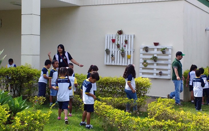 Meio Ambiente e a Escola