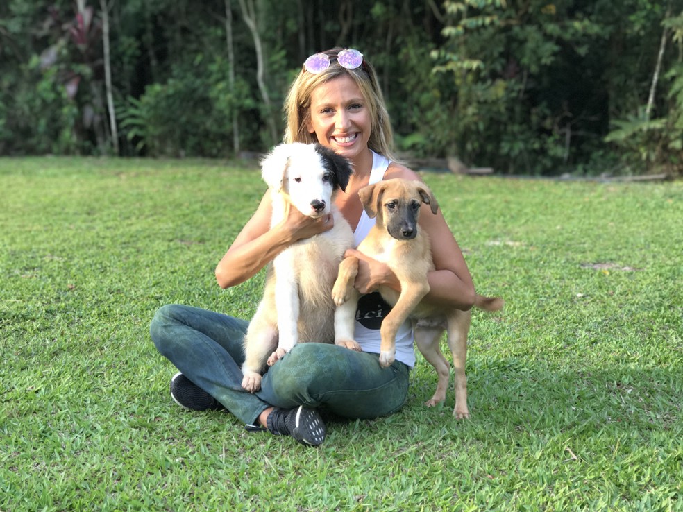 A apresentadora e ativista Luisa Mell em seu instituto com cães resgatados  Foto: Divulgação