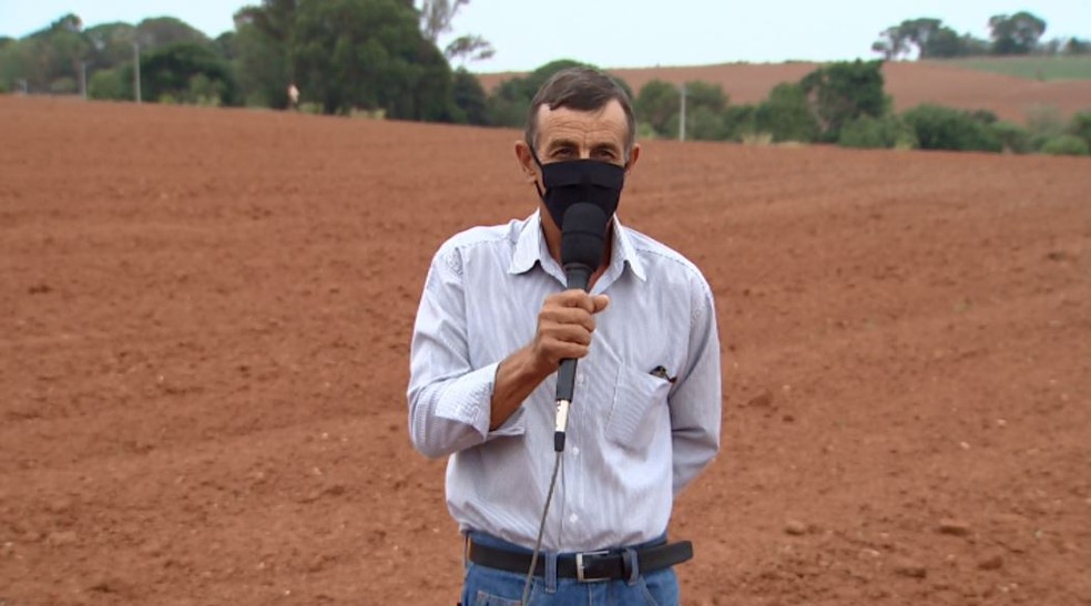 Agricultor tem prejuízos na lavoura em São José do Rio Pardo por falta de chuvas. — Foto: Paulo Chiari/EPTV