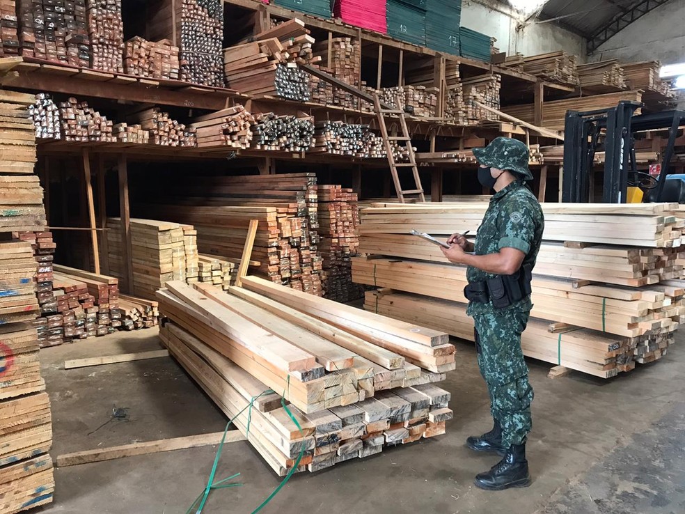 Madeireira E Multada Em Quase R 130 Mil Por Vender Madeira Nativa Sem Licenca Em Ourinhos Bauru E Marilia G1
