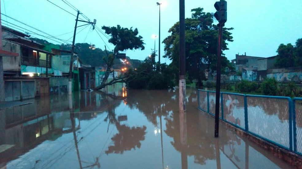 Árvores caíram com o temporal que atingiu Macaé (Foto: Renan Gouvêa/Inter TV )