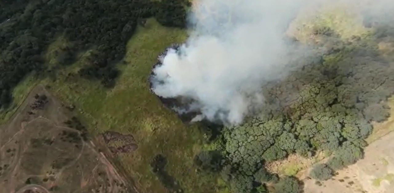 Incêndio atinge área de mata do Instituto Biológico em Campinas