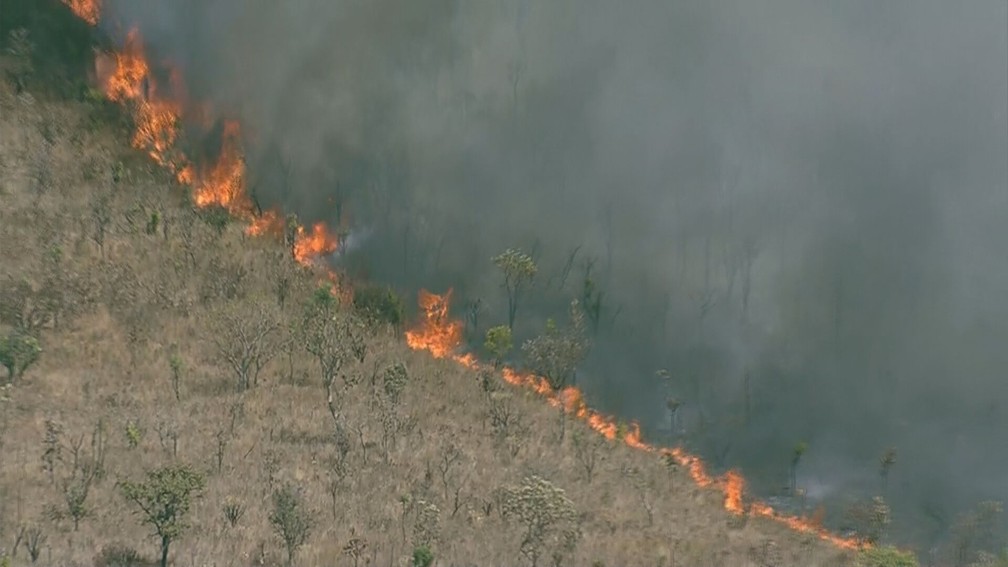 Incêndio no Parque Nacional de Brasília, nesta segunda-feira (5) — Foto: TV Globo/Reprodução