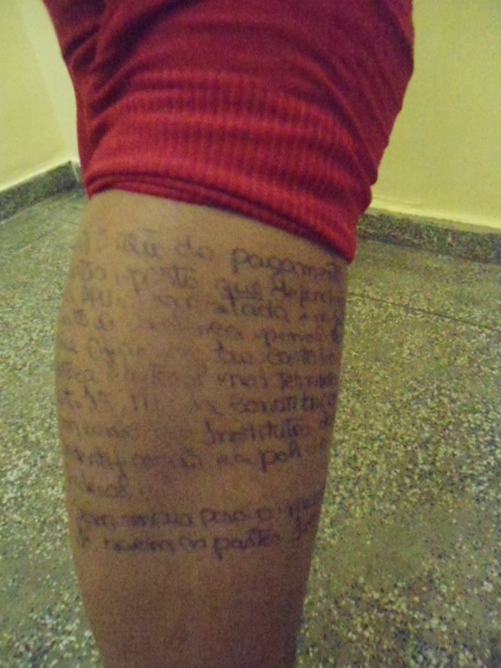 Costas e as pernas tinham textos referentes ao processo criminal do interno que seria visitado. — Foto: Seap/Divulgação