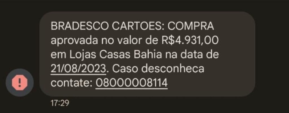 Criminosos tentam atrair vítimas para centrais de atendimento falsas — Foto: Reprodução